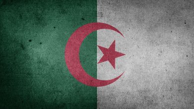 algeria, flag, africa