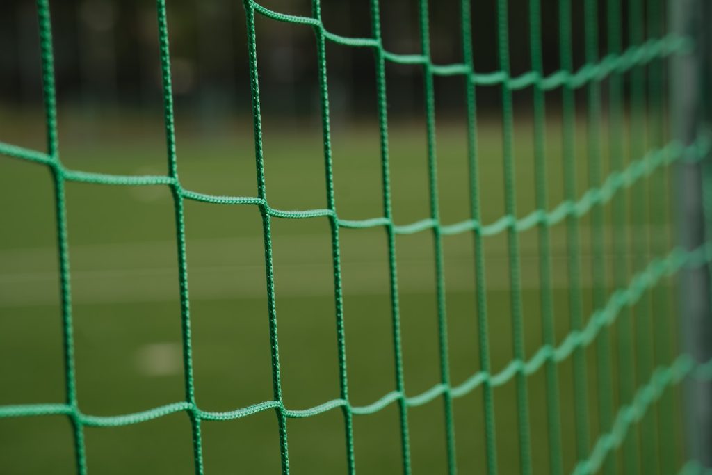 Une progression méritée au classement FIFA pour les Fennecs a green wire fence