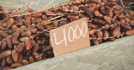 découvrez l'authentique datte deglet nour, réputée pour sa douceur et sa texture fondante. idéale pour rehausser vos plats, vos desserts ou à déguster seule, cette datte est un symbole de gastronomie méditerranéenne. apportez une touche d'exotisme à votre alimentation avec notre sélection de deglet nour de qualité supérieure.