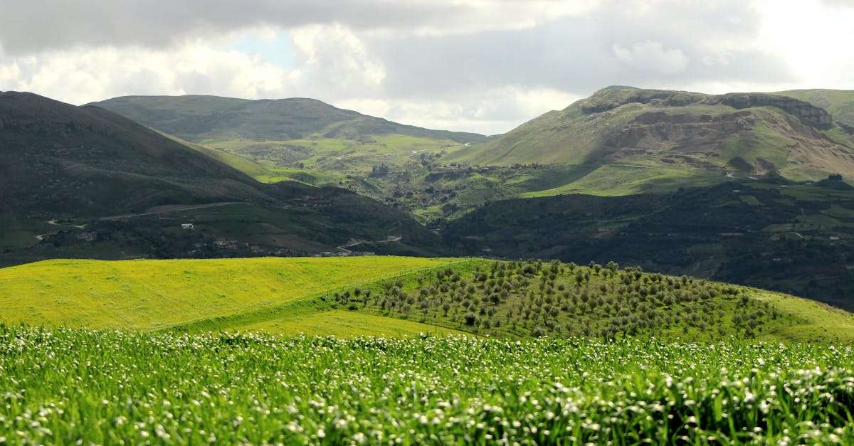 découvrez air algérie, la compagnie aérienne nationale qui vous connecte à l'algérie et au-delà. profitez de services de qualité, d'une large gamme de destinations et d'une expérience de vol agréable avec des options adaptées à tous vos besoins.
