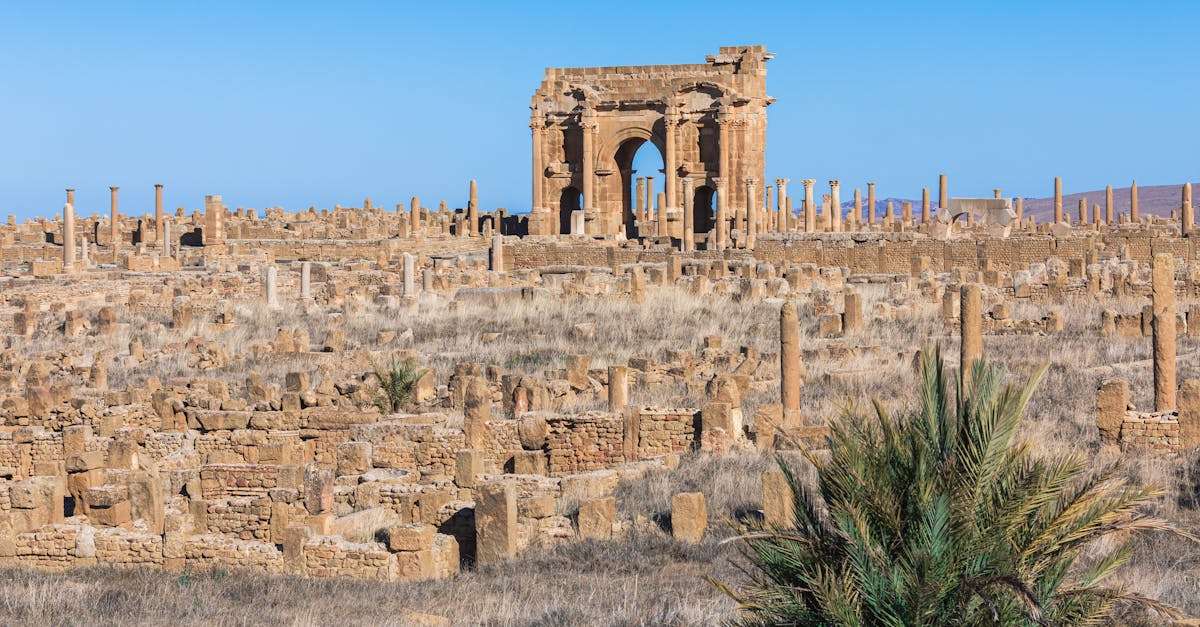 découvrez les offres exclusives d'air algérie pour vos voyages. bénéficiez de tarifs compétitifs et de services de qualité pour des destinations à travers le monde.
