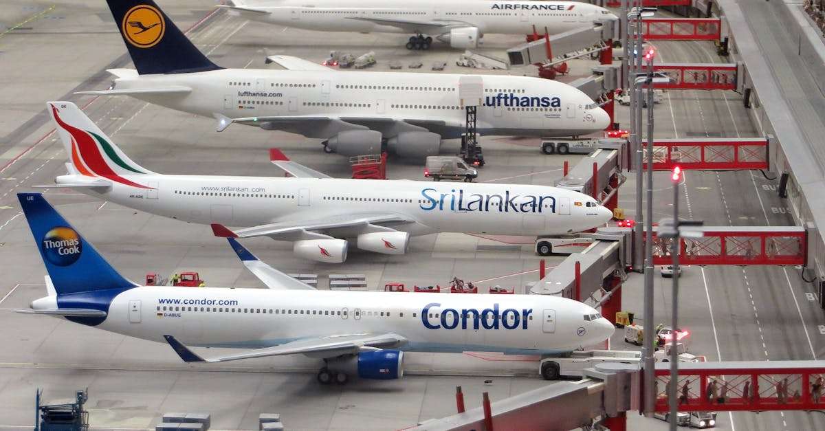 découvrez notre guide complet sur les aéroports : services, destinations, conseils de voyage et informations pratiques pour un départ serein et une arrivée réussie.