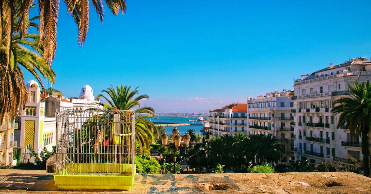 découvrez algeria ferries, le moyen idéal pour traverser la méditerranée. explorez nos services de ferries confortables et fiables reliant l'algérie à différentes destinations, avec des options adaptées à tous les voyageurs. réservez votre voyage dès maintenant et vivez une expérience inoubliable en mer.