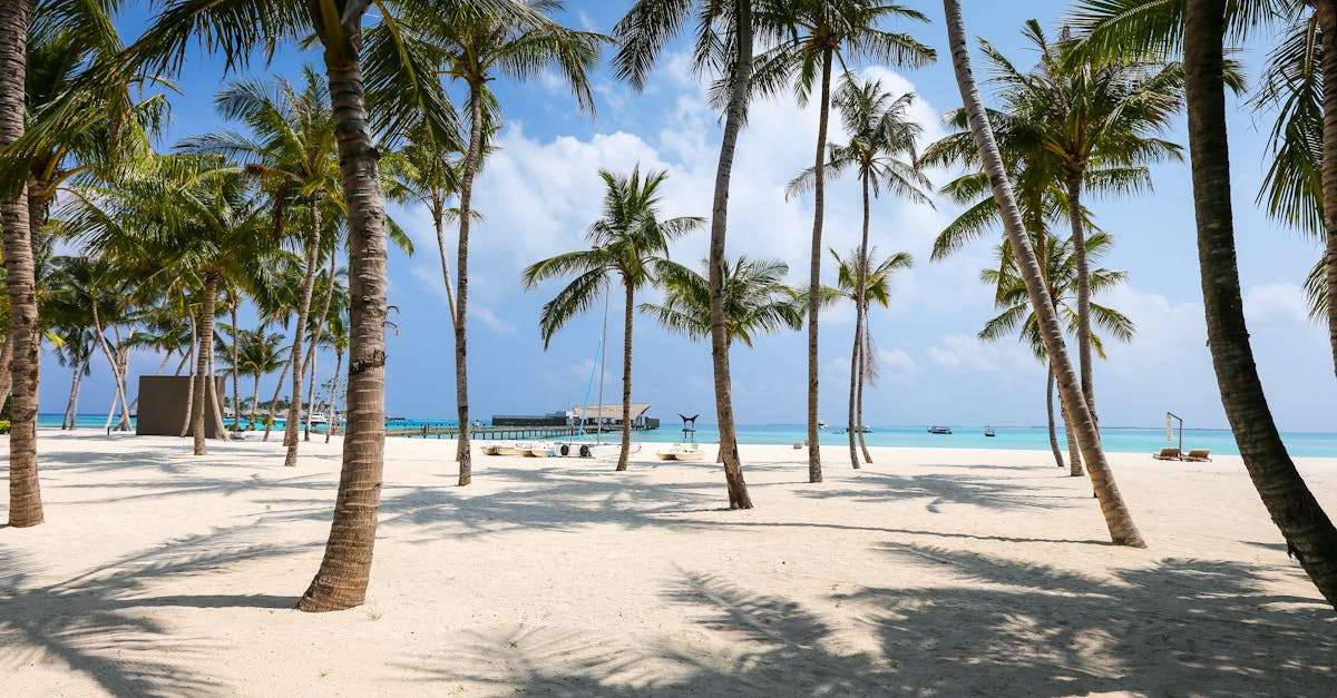 découvrez les plages idylliques : un aperçu des plus belles plages, des activités nautiques aux escapades relaxantes sur le sable fin. parfait pour les amoureux de la mer et les aventuriers du soleil !