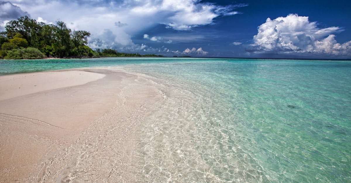 découvrez les plus belles plages du monde, des paysages de sable fin aux eaux cristallines. profitez d'activités en plein air, de moments de détente au soleil et de paysages à couper le souffle. parfait pour votre prochaine escapade !