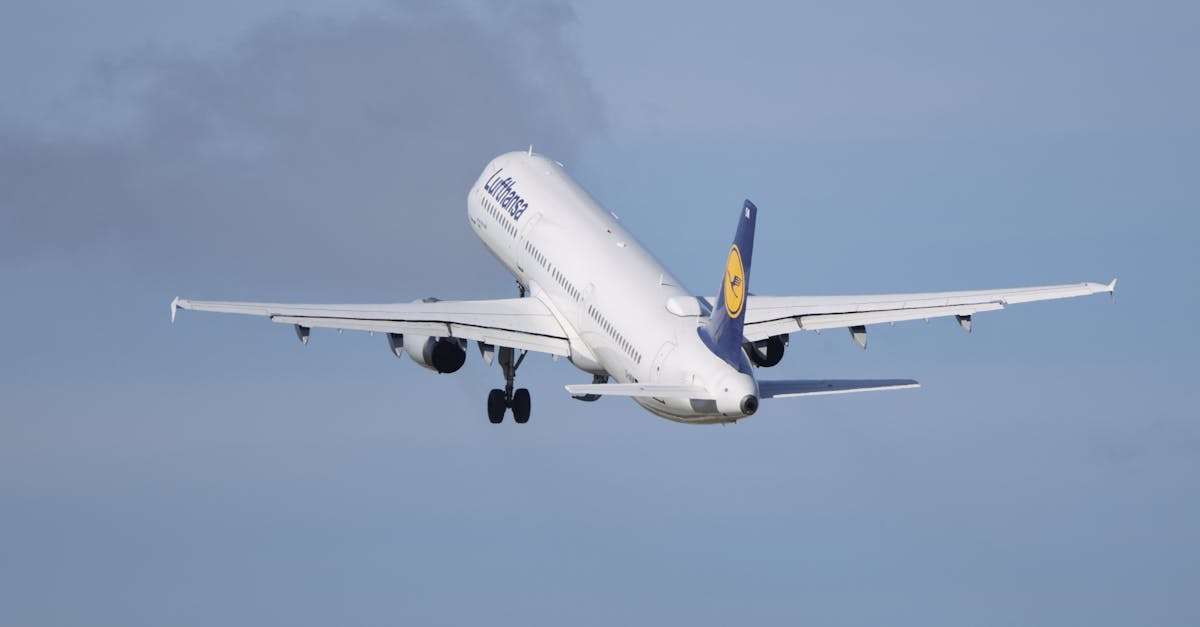 découvrez des vols abordables vers de nombreuses destinations. profitez de nos offres exclusives pour voyager sans vous ruiner. réservez dès aujourd'hui pour bénéficier des meilleurs prix sur vos prochains vols!