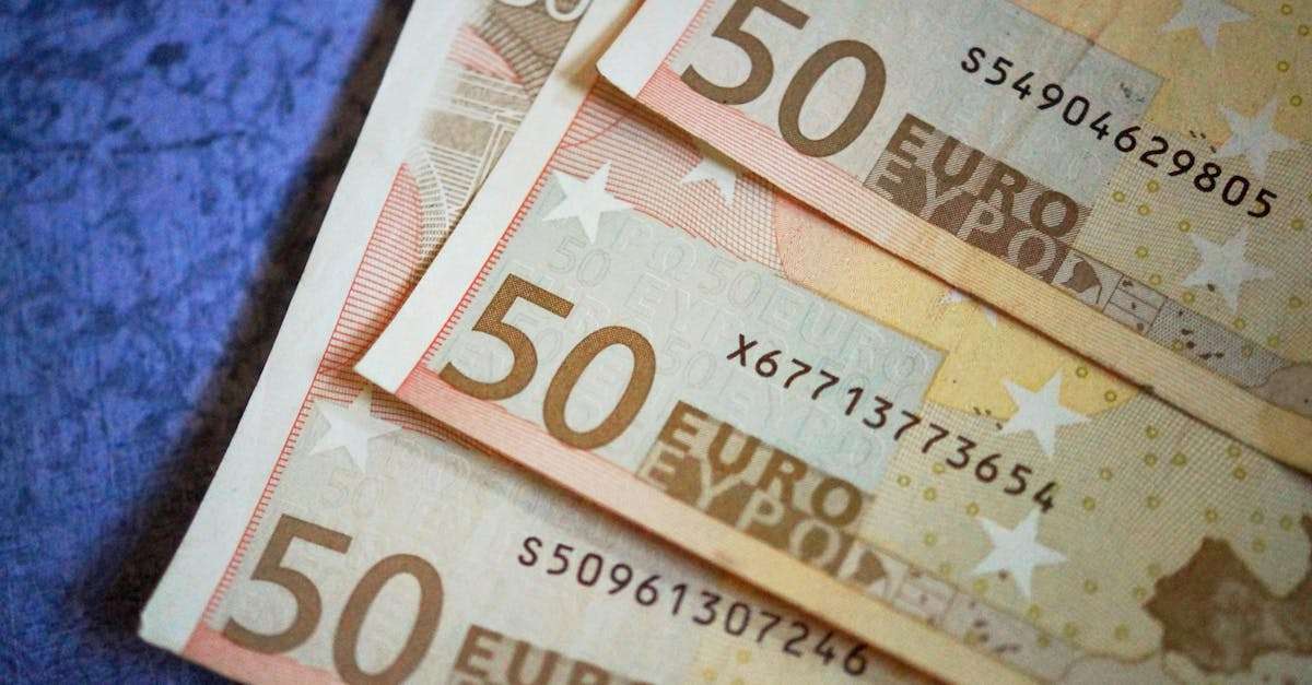découvrez tout sur l'euro, la monnaie unique de l'union européenne. apprenez son histoire, son impact sur l'économie européenne et comment il facilite les échanges entre les pays membres.