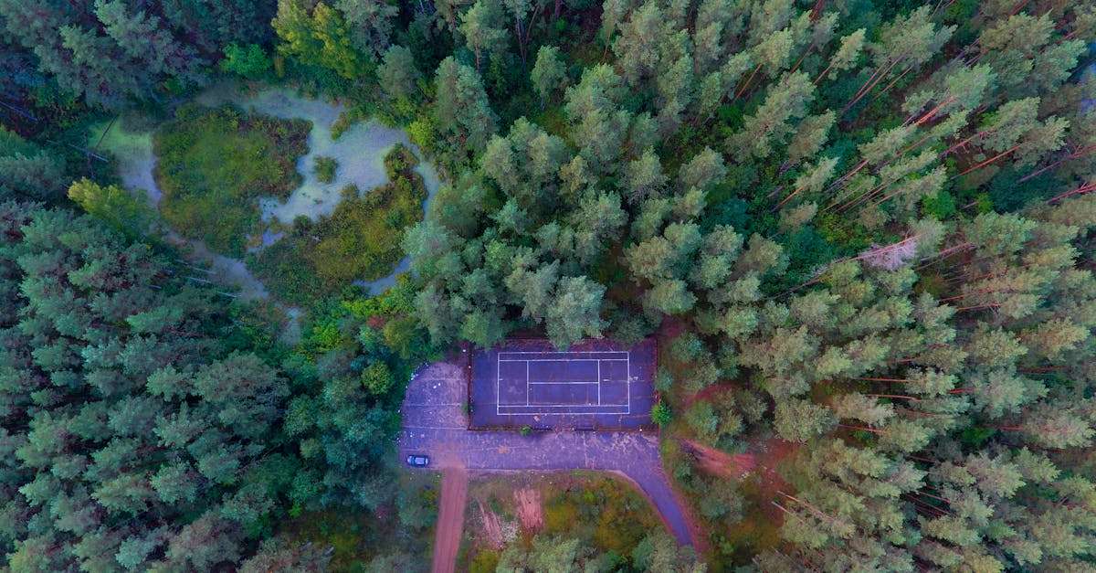 découvrez le monde fascinant des caméras cachées : une technologie innovante qui permet d'enregistrer discrètement des moments clés. que ce soit pour la sécurité, la surveillance ou le divertissement, apprenez comment ces dispositifs sophistiqués fonctionnent et leurs applications variées.