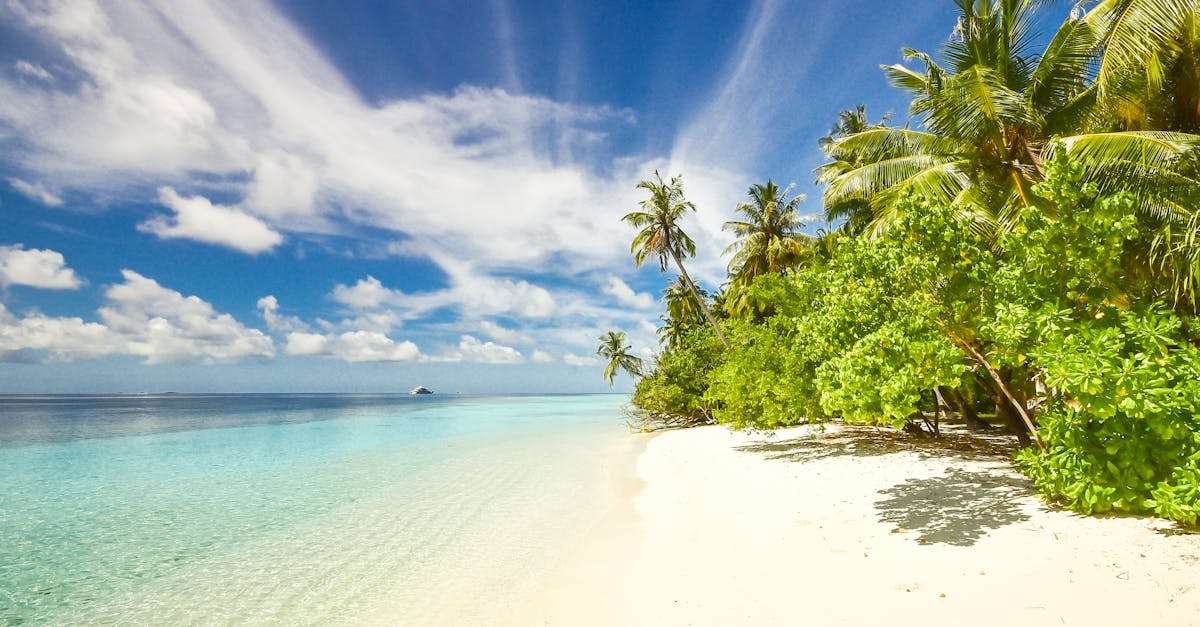 découvrez l'île cachée, un paradis naturel où la beauté des paysages rencontre une culture riche et vibrante. explorez ses plages de sable fin, ses eaux turquoise et ses aventures en plein air.