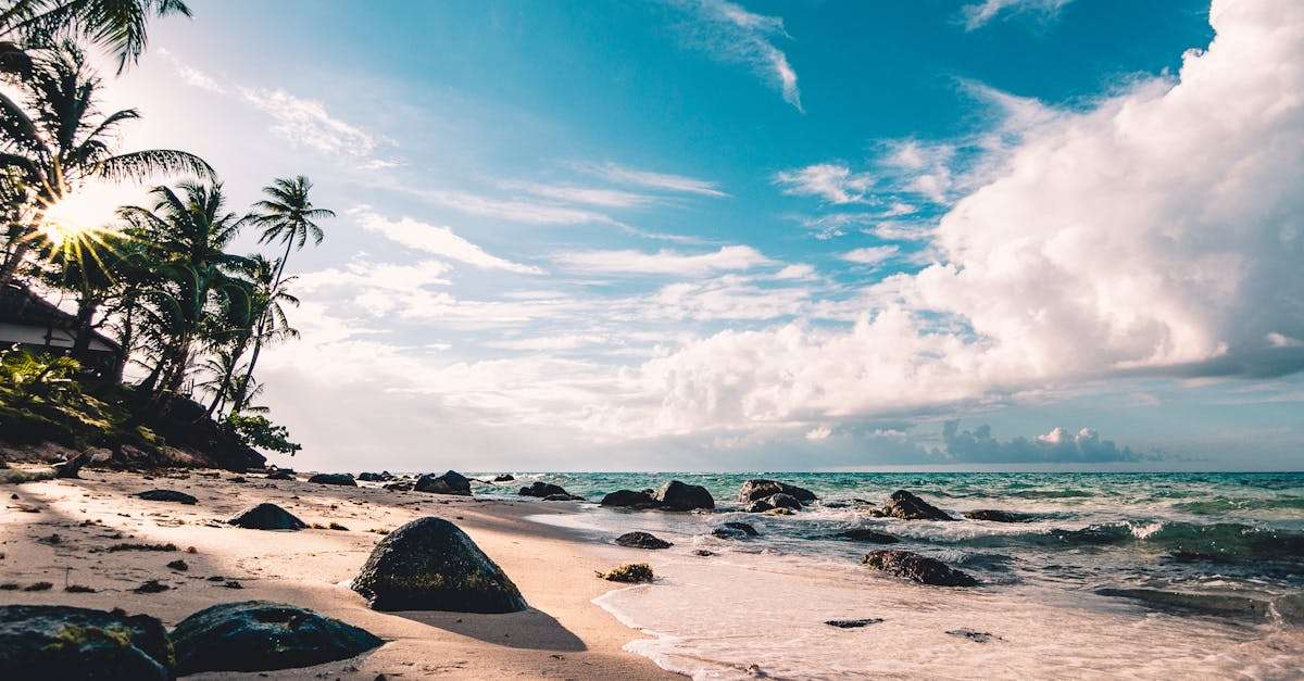 découvrez les joyaux des îles : plages paradisiaques, paysages à couper le souffle et cultures fascinantes. évadez-vous vers des destinations de rêve pour des vacances inoubliables sur des îles enchanteurs.