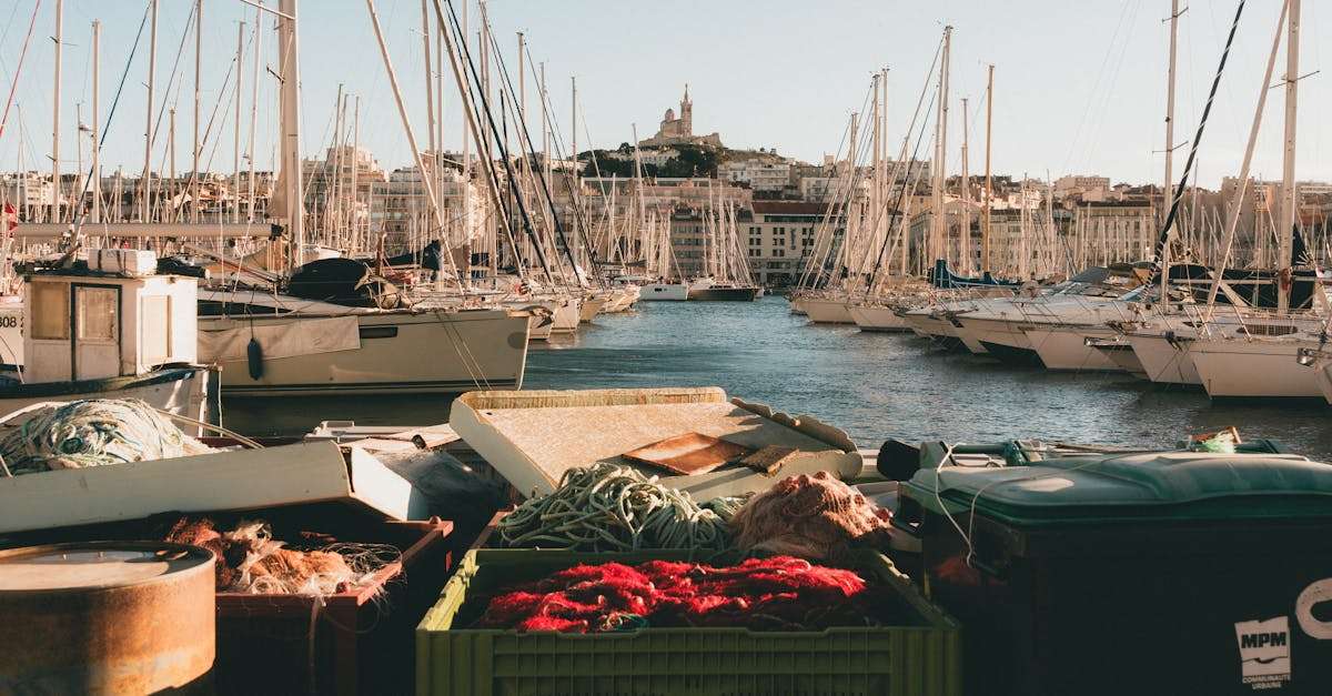 découvrez la magnifique ville de marseille, ses paysages pittoresques, son riche patrimoine historique, et sa culture vibrante. explorez le vieux-port, dégustez des spécialités locales et profitez des plages ensoleillées dans cette métropole méditerranéenne.