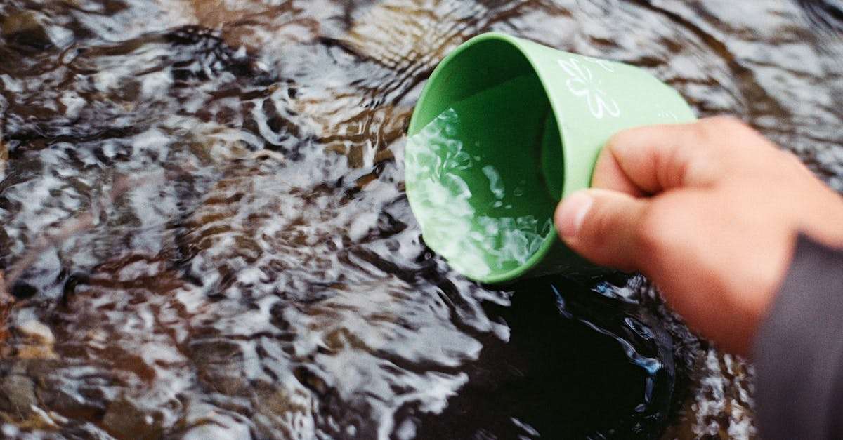 découvrez l'art de la survie avec nos conseils pratiques, techniques essentielles et astuces indispensables pour affronter les défis de la nature. que vous soyez un aventurier chevronné ou un débutant, apprenez à vous adapter et à prospérer dans des environnements hostiles grâce à nos guides détaillés et nos ressources utiles.