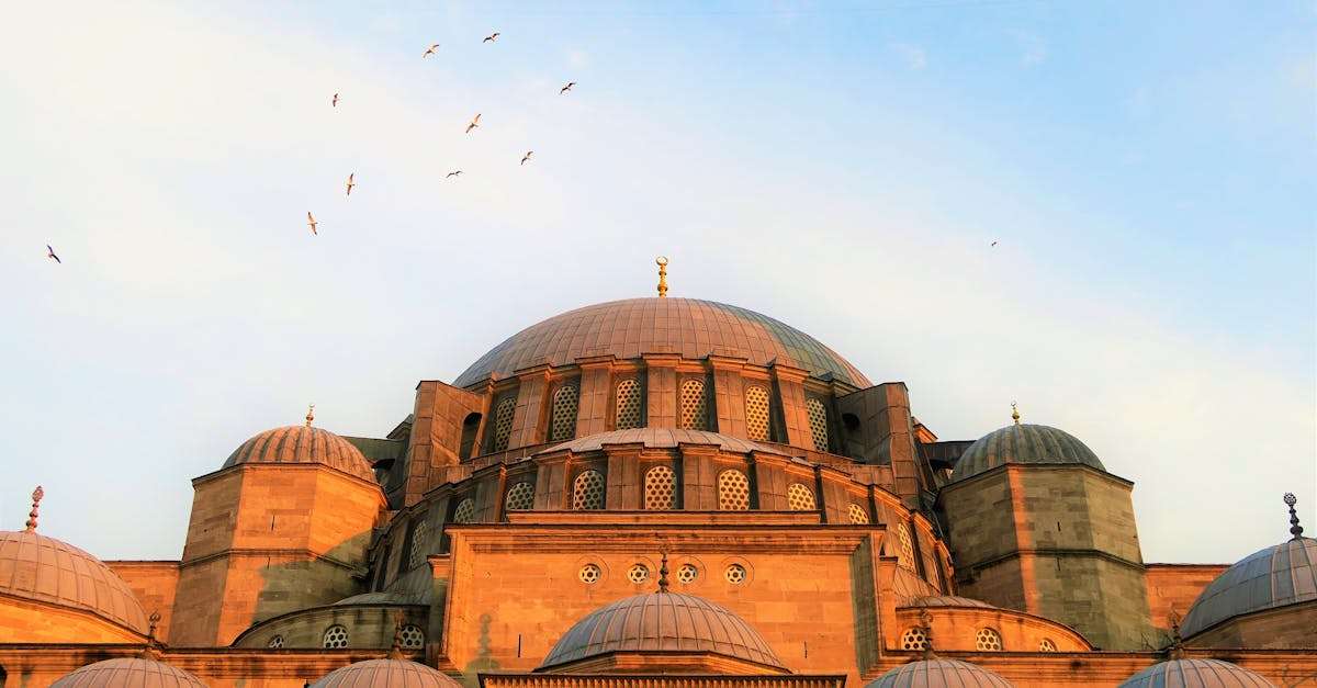 découvrez tout sur la turquie, un pays aux mille facettes alliant riche histoire, culture vibrante et paysages époustouflants. explorez ses sites emblématiques, sa délicieuse cuisine et ses traditions uniques.