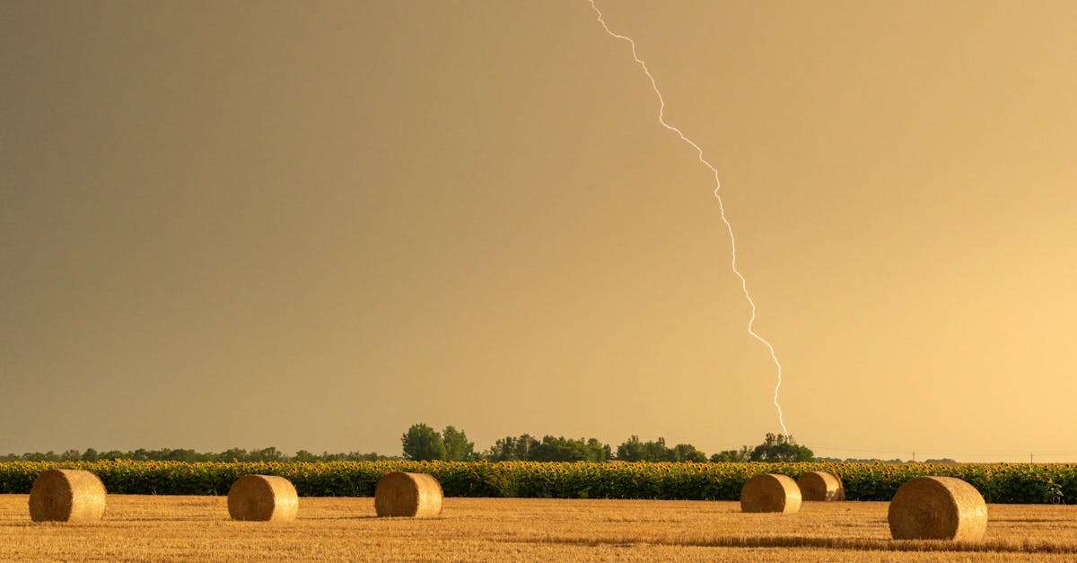 découvrez les effets du vent sur l'environnement et l'architecture, des phénomènes naturels fascinants qui influencent la météo, la navigation maritime et terrestre, ainsi que l'impact sur la faune et la flore.