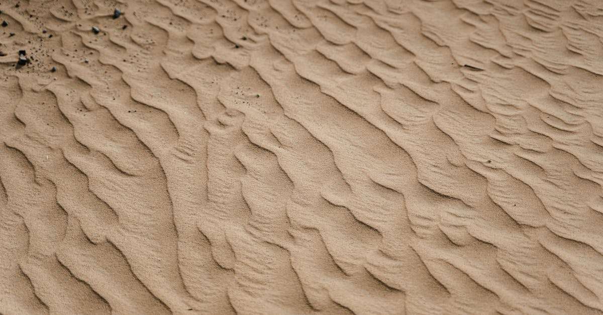 découvrez l'impact des effets du vent sur notre environnement, de la dynamique des écosystèmes à l'ingénierie des structures. explorez comment le vent façonne notre quotidien et influence le climat, la biodiversité et les activités humaines.