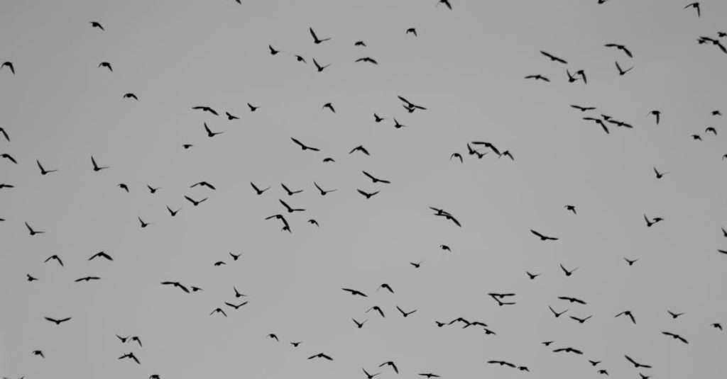 découvrez les dernières informations sur les disruptions de vols, leurs causes, et comment gérer les imprévus lors de vos voyages. restez informé pour mieux voyager.