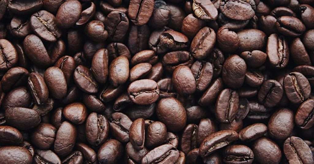 découvrez les délices des boissons algériennes, une fusion unique de saveurs authentiques et de traditions. plongez dans l'univers des boissons artisanales, des infusions à base de plantes aux jus de fruits frais, et savourez la richesse culturelle de l'algérie à travers chaque gorgée.