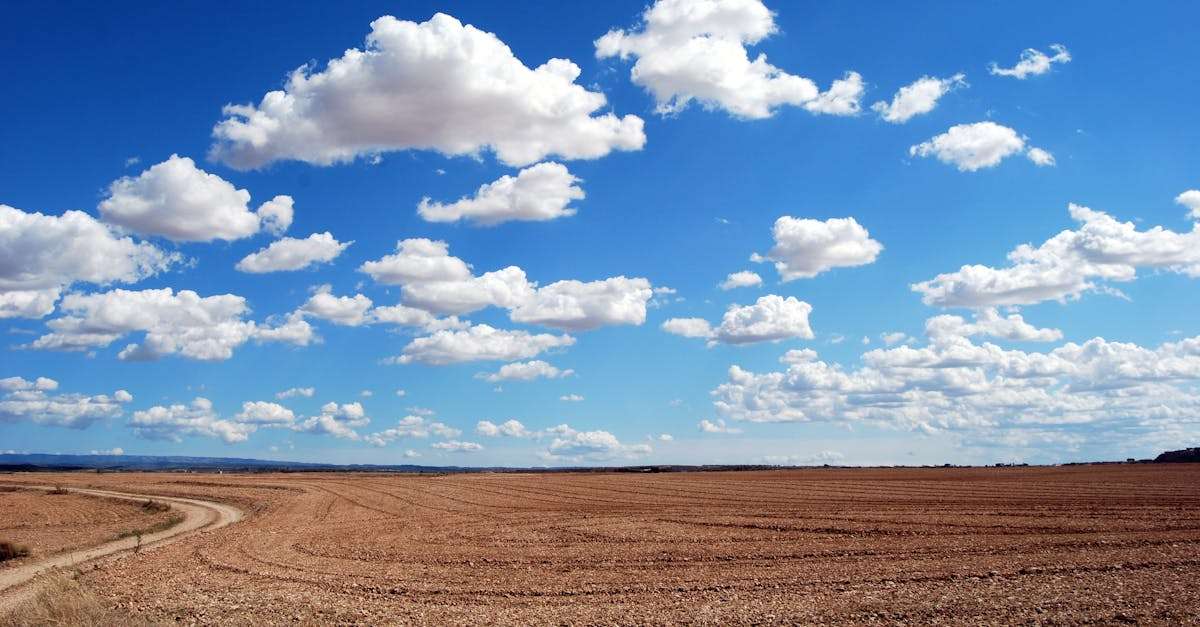 découvrez air algérie, la compagnie aérienne nationale qui connecte l'algérie au monde. profitez de services de qualité, de vols réguliers et d'une expérience de voyage unique. réservez vos billets dès maintenant pour explorer de nouvelles destinations avec un service fiable et accueillant.