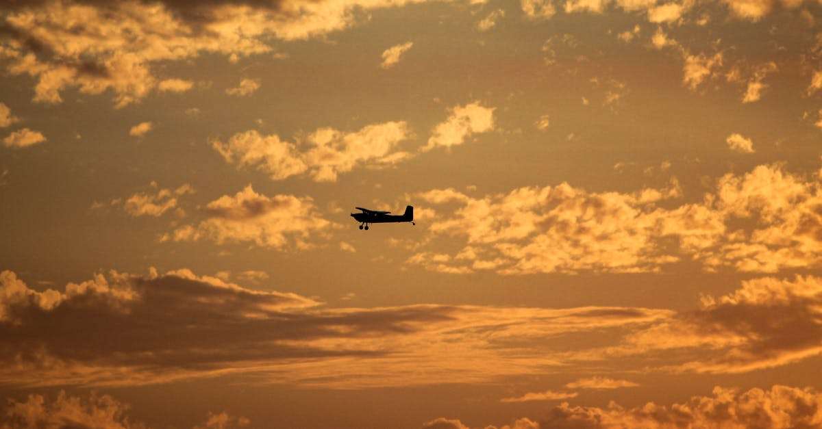 découvrez tout ce qu'il faut savoir sur les toilettes d'avion : leur fonctionnement, leur propreté, et des anecdotes surprenantes sur ce petit espace essentiel en plein vol.