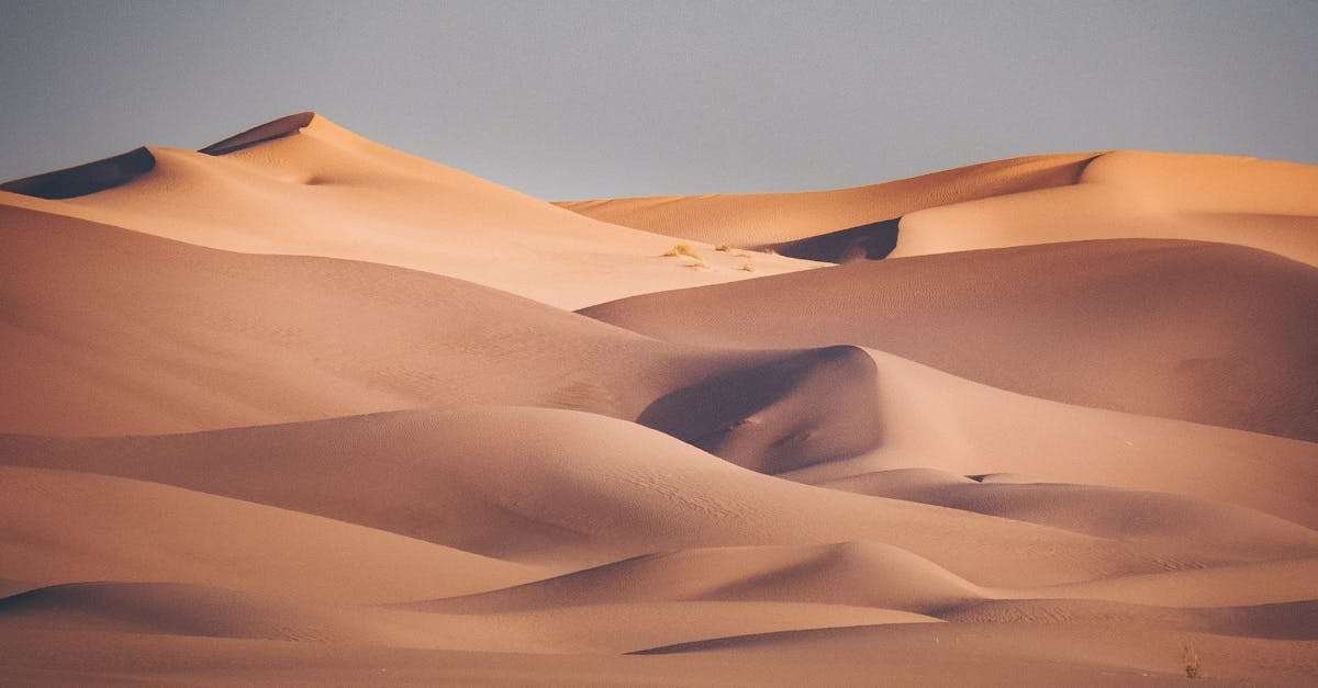découvrez l'algérie, un pays riche en histoire, culture et paysages à couper le souffle. explorez ses villes vibrantes, ses sites archéologiques et ses paysages désertiques impressionnants. préparez votre voyage et plongez dans la diversité et la beauté de cette nation nord-africaine.