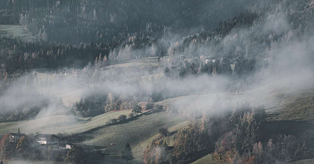 découvrez comment les villages peuvent devenir des espaces propres et durables grâce à des initiatives écologiques, des pratiques communautaires et des innovations en matière de gestion des déchets.