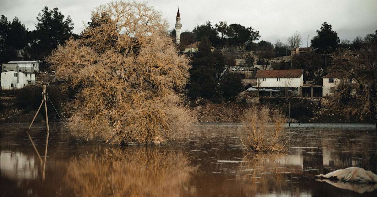 découvrez comment les villages peuvent devenir des exemples de propreté et de durabilité. explorez des initiatives et des pratiques pour maintenir des environnements sains et accueillants, tout en préservant la beauté naturelle. rejoignez le mouvement vers des villages plus propres et plus respectueux de l'environnement.
