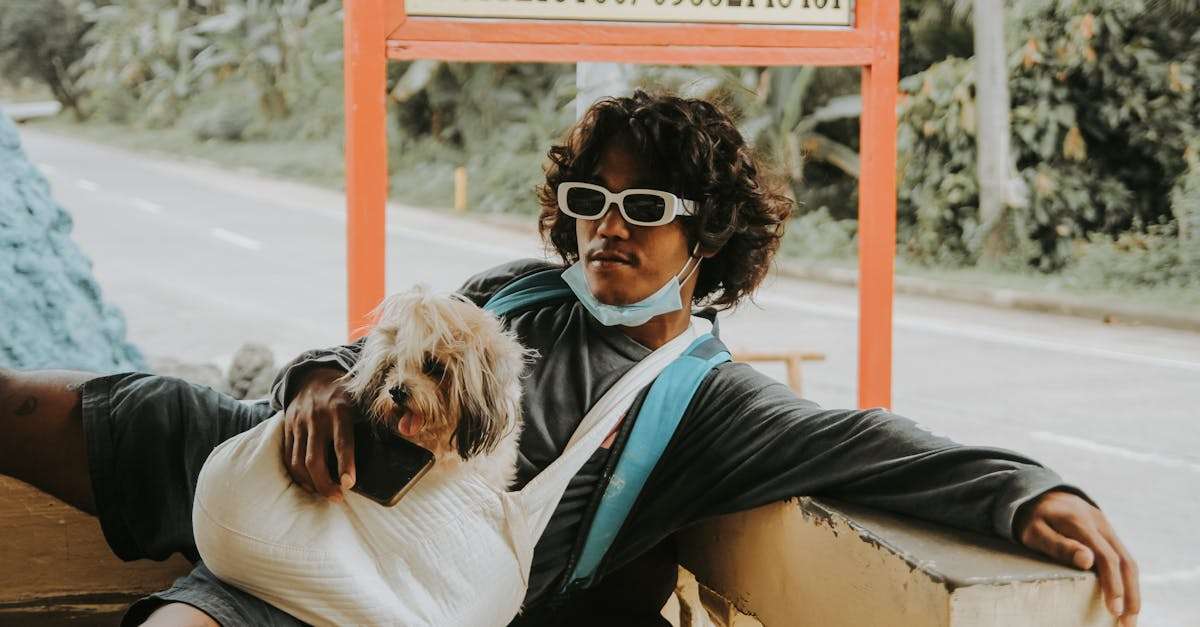 découvrez le sac de voyage pour chien idéal pour vos aventures en plein air. pratique et spacieux, il vous permet d'emporter tous les essentiels de votre compagnon à quatre pattes, tout en garantissant son confort durant vos déplacements.