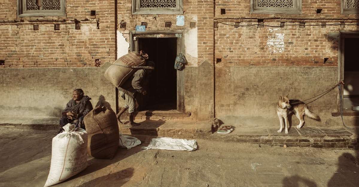 découvrez notre sac de voyage pour chien, idéal pour emmener votre compagnon à quatre pattes partout avec vous. pratique, spacieux et confortable, ce sac assure le confort de votre animal tout en facilitant vos déplacements. parfait pour les aventures en plein air ou les voyages en voiture!