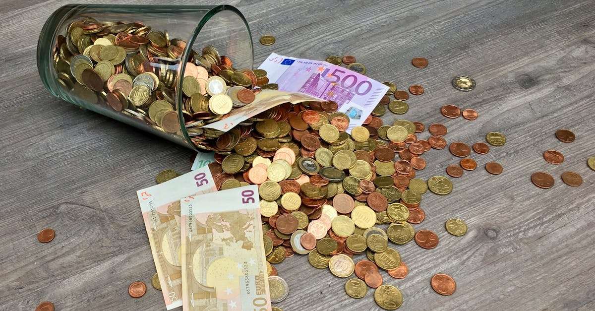 découvrez l'euro, la monnaie unique de la zone euro qui facilite les échanges commerciaux, le voyage et l'économie en europe. informez-vous sur son histoire, sa valeur actuelle et son impact sur le marché mondial.