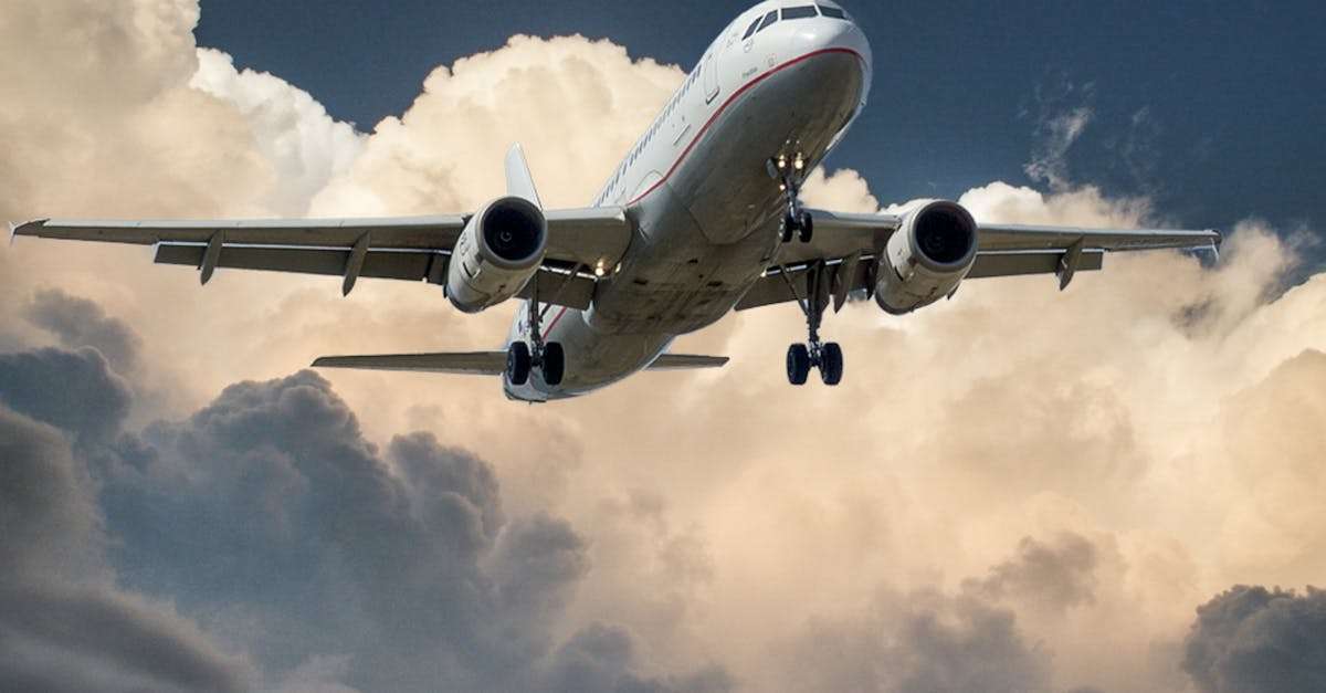découvrez les meilleures offres de vols pour vos prochaines destinations. comparez les prix, choisissez votre itinéraire et voyagez sereinement avec nos conseils pratiques et astuces. réservez votre vol idéal dès maintenant pour un voyage inoubliable!