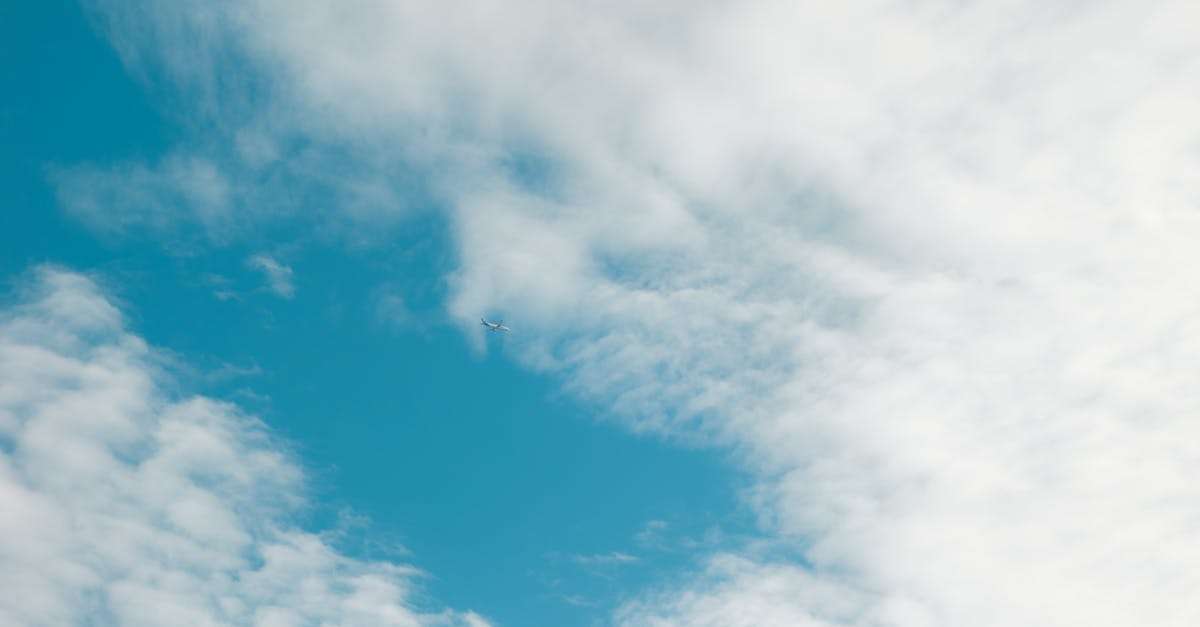 découvrez les meilleures offres de vols vers des destinations de rêve. comparez les prix, trouvez des billets d'avion abordables et réservez votre voyage en toute simplicité. explorez le monde avec nos conseils et astuces pour un voyage réussi.