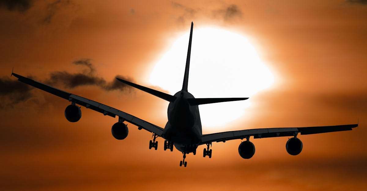 découvrez les meilleures options de vols pour toutes vos destinations. profitez de comparaisons de prix, de conseils de voyage, et d'offres exclusives pour planifier votre prochain séjour en toute sérénité.