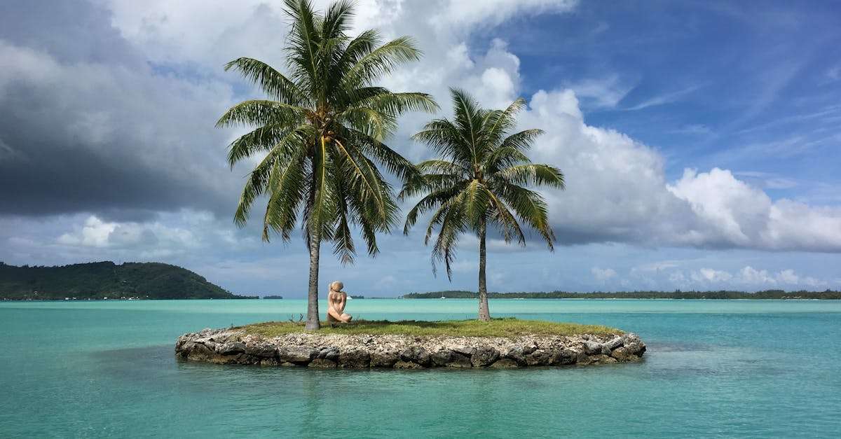 découvrez les merveilles des îles, des paysages paradisiaques aux cultures uniques. plongez dans l'aventure insulaire et explorez des plages de sable fin, une faune et une flore riches et des activités aquatiques passionnantes.