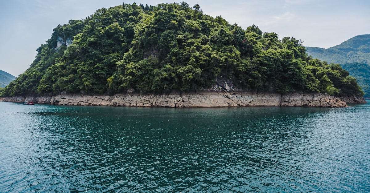 découvrez l'île paradisiaque, un havre de paix offrant des plages de sable fin, une nature luxuriante et des activités nautiques exceptionnelles. évadez-vous dans cet endroit idyllique pour des vacances inoubliables.