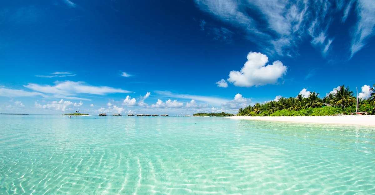 découvrez les merveilles d'une île paradisiaque, entre plages de sable fin, eaux cristallines et paysages à couper le souffle. explorez la culture locale, la faune unique et vivez des aventures inoubliables au cœur de la nature.