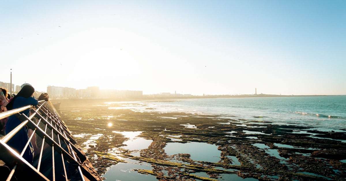 découvrez la richesse culturelle, historique et naturelle du maghreb, une région fascinante d'afrique du nord. explorez ses traditions, sa gastronomie et ses paysages variés qui font de cette destination un véritable trésor à découvrir.