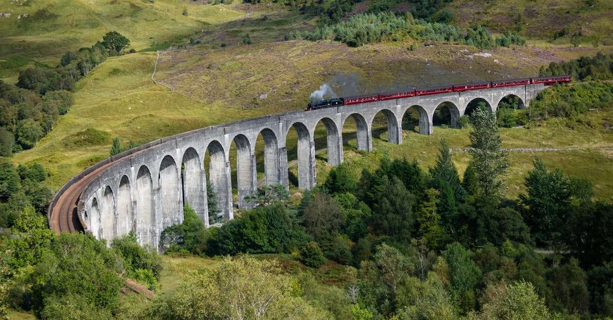 découvrez orly, une destination vibrante qui allie culture, gastronomie et loisirs. explorez ses attractions, savourez ses délices culinaires et immergez-vous dans l'atmosphère unique de cette ville dynamique. que vous soyez ici pour un court séjour ou pour une aventure prolongée, orly a quelque chose à offrir à chaque visiteur.