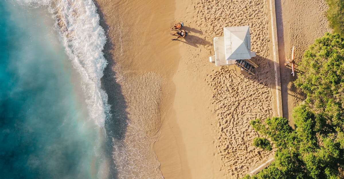 découvrez la plage de sable rose, un paradis caché où le sable délicat et les eaux cristallines se rencontrent. idéale pour des vacances inoubliables, cette destination unique offre des paysages à couper le souffle et une expérience relaxante en pleine nature.