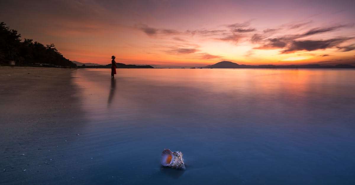 découvrez la magnifique plage de sable rose, un véritable paradis naturel où le sable doux et les eaux cristallines s'associent pour offrir une expérience inoubliable. idéale pour les amateurs de baignade, de snorkeling et de détente au soleil, cette plage unique vous invite à explorer ses paysages à couper le souffle.