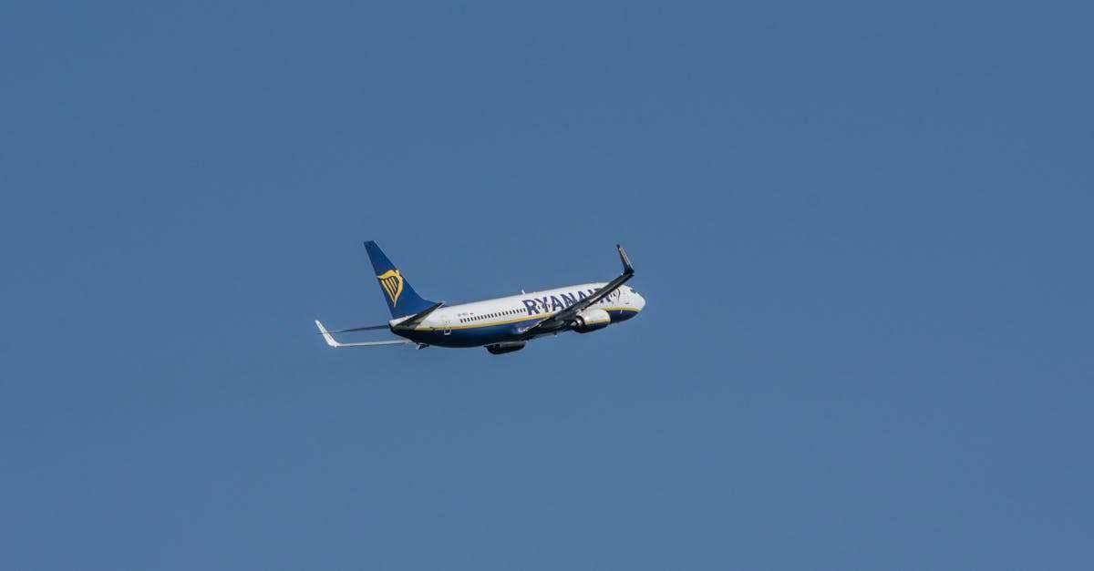 découvrez ryanair, la compagnie aérienne spécialisée dans les vols à bas prix à travers l'europe. profitez de tarifs compétitifs, d'une large gamme de destinations et d'un service efficace pour vos voyages d'affaires ou de loisirs.