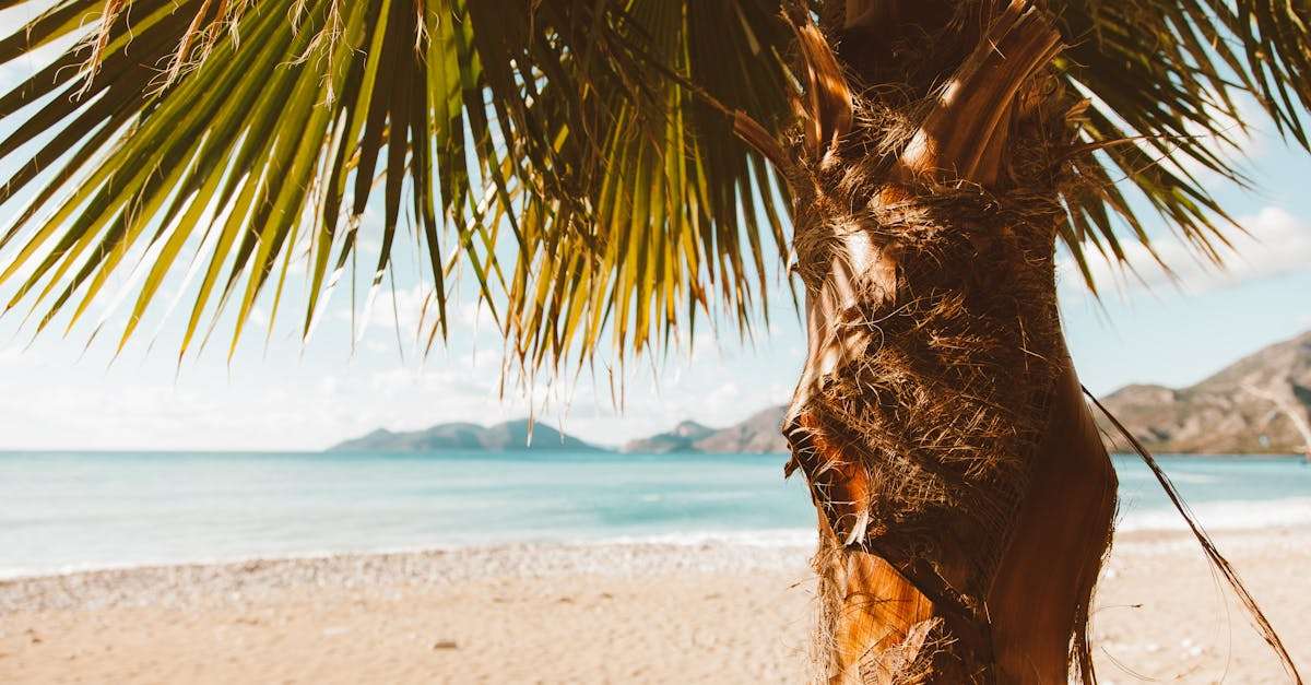 découvrez des destinations ensoleillées idéales pour vos prochaines vacances. que vous cherchiez des plages de sable doré, des activités en plein air ou des aventures culturelles, ces lieux ensoleillés sauront égayer vos voyages.