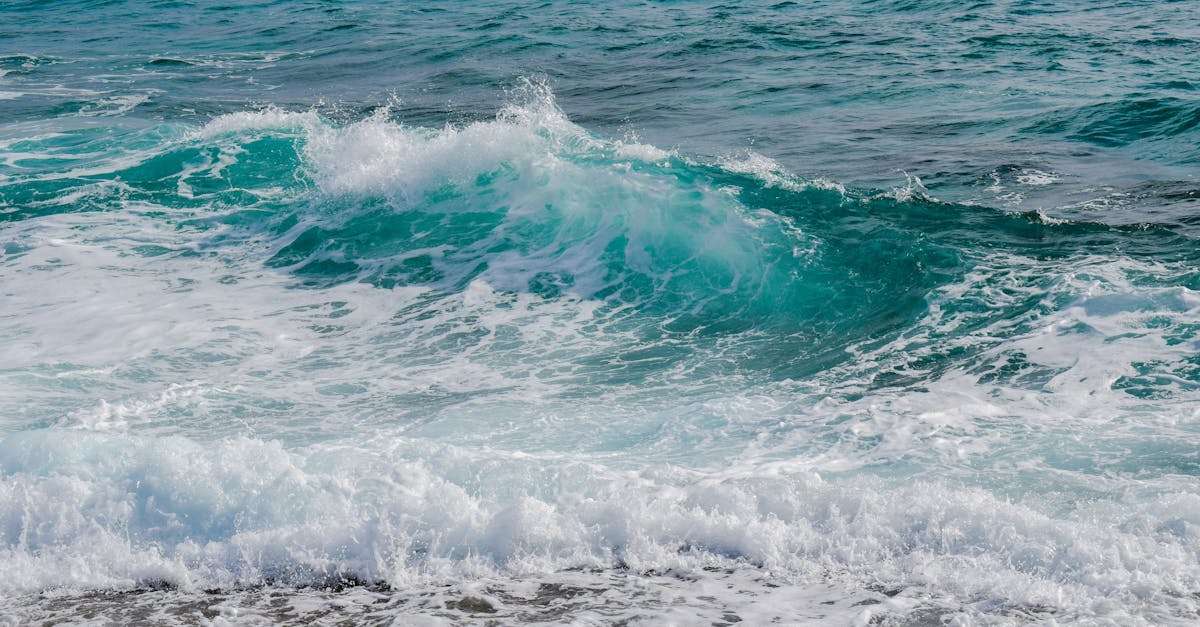 découvrez des destinations ensoleillées qui feront rêver vos vacances ! plages de sable fin, cultures vibrantes et climats chauds vous attendent pour un séjour inoubliable. explorez nos recommandations pour le soleil et l'aventure.
