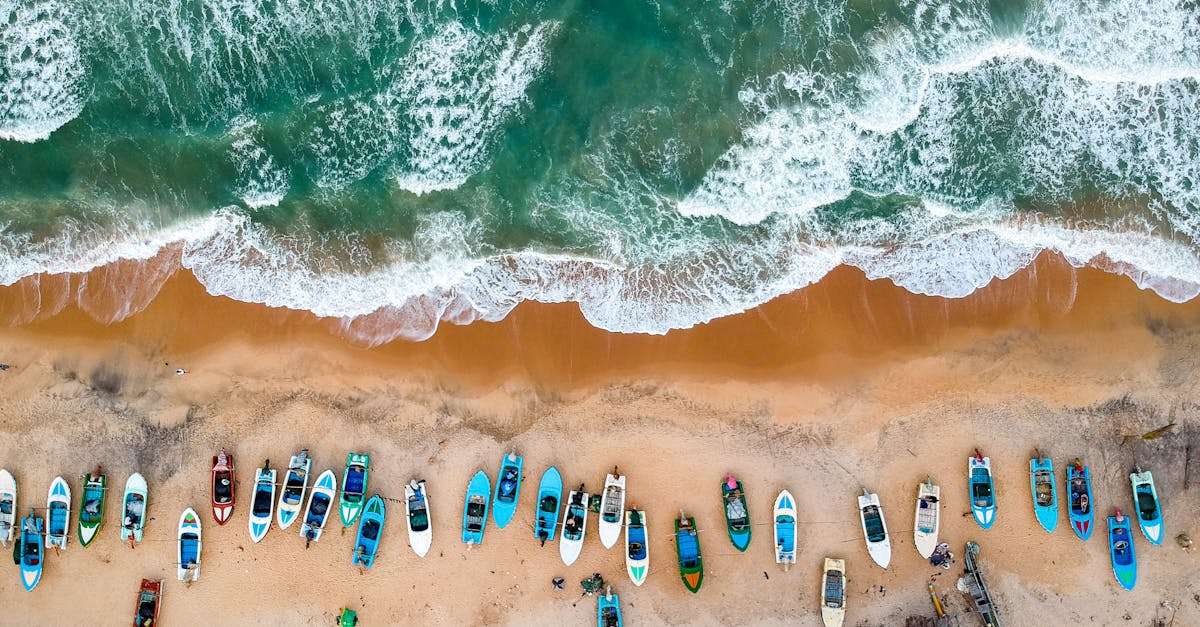 découvrez le monde fascinant du tourisme : des destinations incontournables aux conseils pratiques pour vos voyages. explorez des cultures, savourez des cuisines locales et vivez des expériences inoubliables tout en enrichissant votre esprit d'aventure.