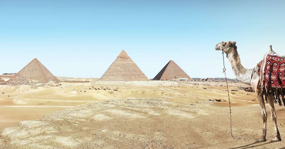 découvrez les merveilles du tourisme : explorez des destinations fascinantes, immergez-vous dans de nouvelles cultures et profitez d'expériences inoubliables à travers le monde.
