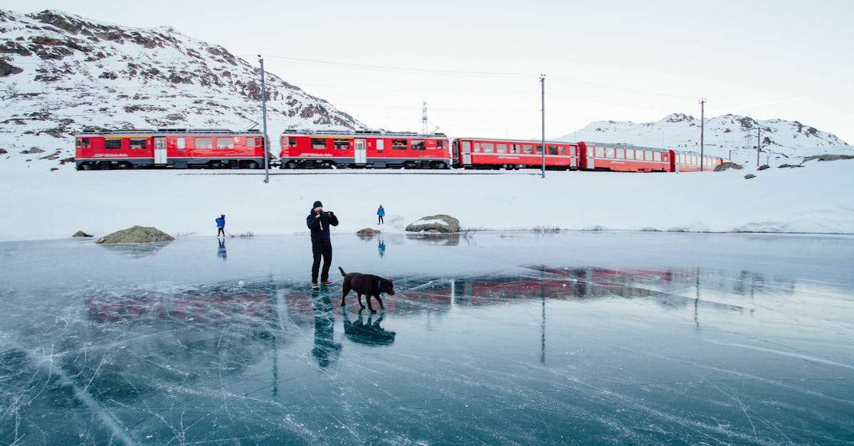 découvrez les paysages enchanteurs et l'aventure d'un voyage en train. profitez du confort et de la tranquillité tout en traversant des panoramas époustouflants, que ce soit pour une escapade rapide ou un long trajet. embarquez pour une expérience inoubliable sur rails!
