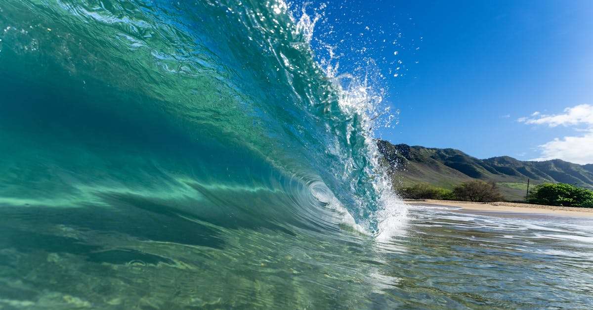 découvrez les meilleures agences de voyage qui vous aideront à planifier des vacances inoubliables. profitez d'expertises locales, de conseils personnalisés et d'offres spéciales pour explorer le monde selon vos envies.