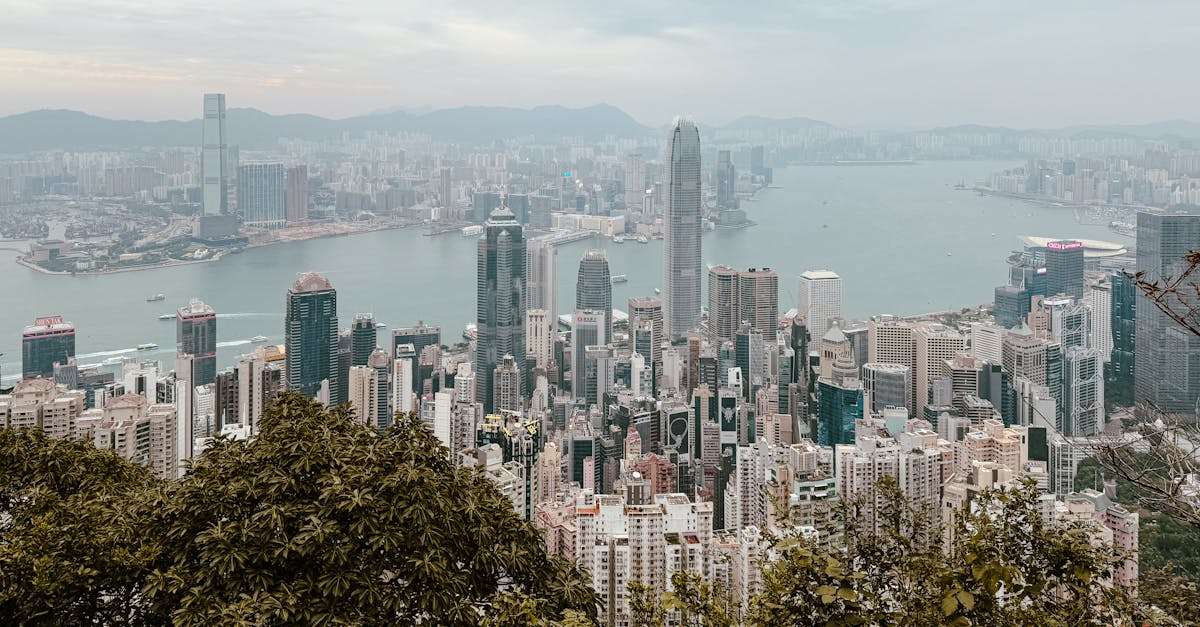 découvrez votre prochaine destination de voyage idéale avec notre guide complet. explorez des lieux fascinants, des cultures enrichissantes et des expériences inoubliables qui répondront à toutes vos envies d'aventure.
