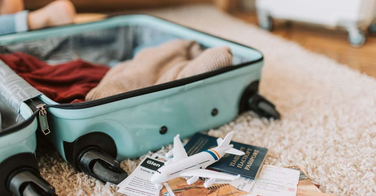 découvrez les indispensables de voyage pour une aventure réussie. des conseils sur les accessoires et les équipements essentiels qui rendront vos déplacements confortables et pratiques. préparez-vous efficacement pour votre prochain voyage !