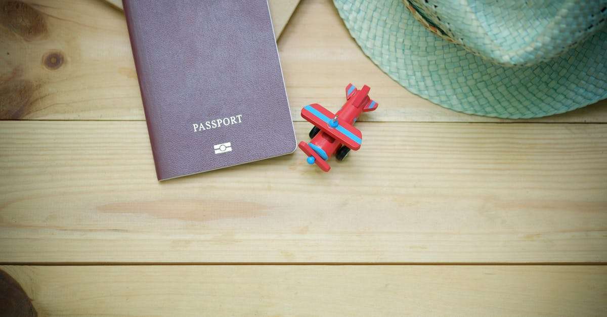 découvrez tout ce qu'il faut savoir sur les visas : types, procédures, conseils et exigences pour voyager à l'étranger en toute sérénité.