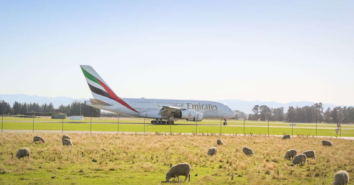 découvrez l'a380, le majestueux avion de ligne qui redéfinit le voyage aérien avec son confort inégalé et sa technologie de pointe. explorez ses caractéristiques uniques et l'expérience de vol sur cet appareil iconique.